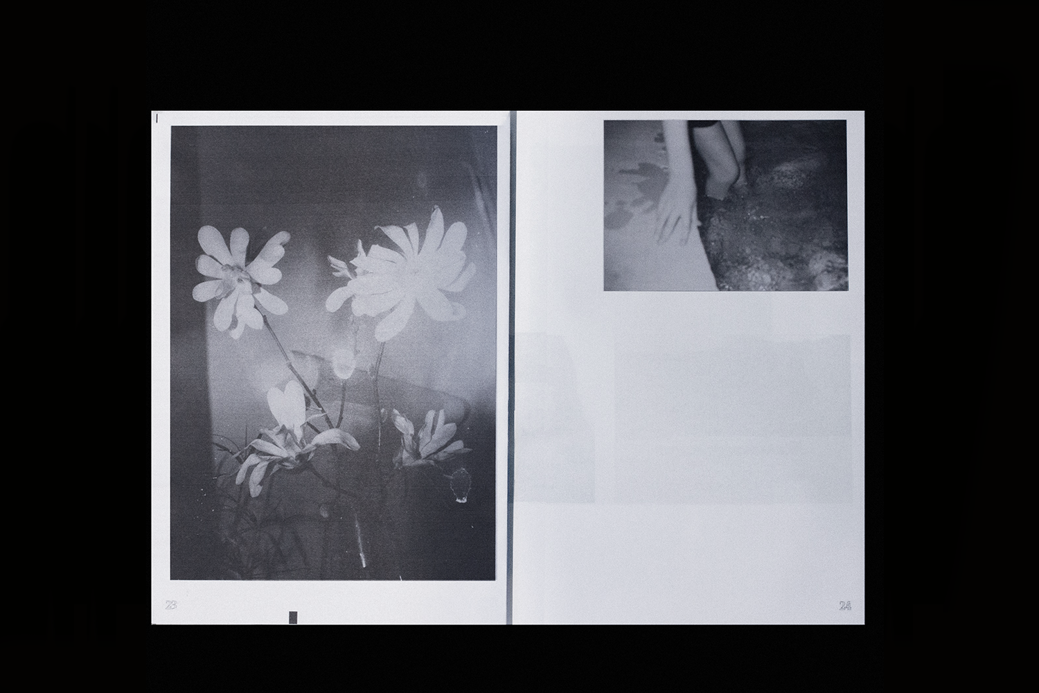Absorber les fantômes - coll – Image 7