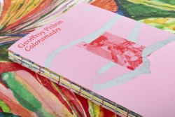 Coloramadre - Geoffroy Pithon – Image 5