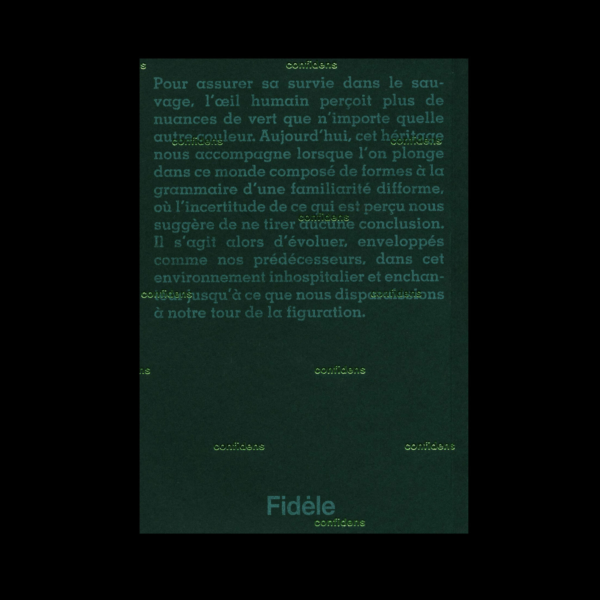 Another Green World - Pierre La Police – Image 5