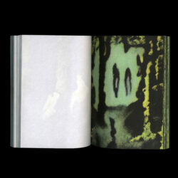 Another Green World - Pierre La Police – Image 3