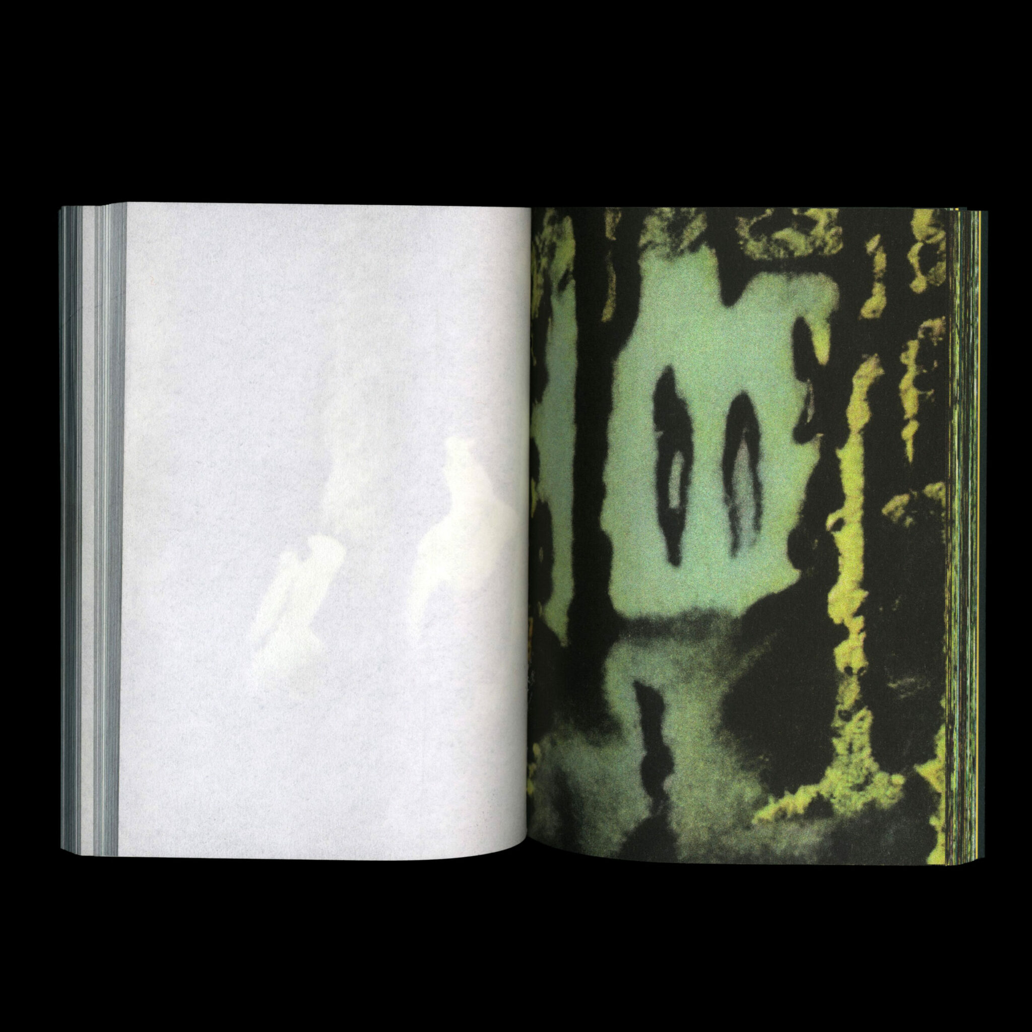 Another Green World - Pierre La Police – Image 3