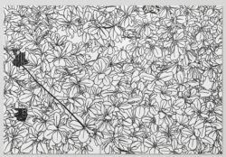 Mille Feuilles - Ingo Giezendanner – Image 4
