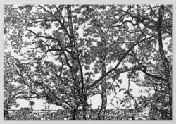 Mille Feuilles - Ingo Giezendanner – Image 5