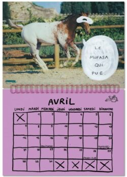 Calendrier 2025 - Et dire que notre terre a déjà 2025 ans - Nils Bertho – Image 2