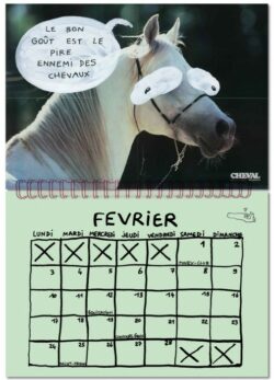Calendrier 2025 - Et dire que notre terre a déjà 2025 ans - Nils Bertho – Image 4