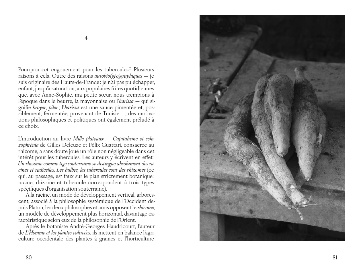 Le laboratoire de fermentation - Ludovic Burel – Image 3