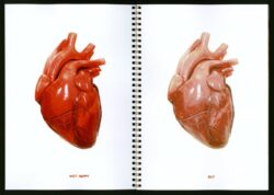 All About Us — Calmer Clearer Closer Nearer - Gloria Glitzer – Image 3
