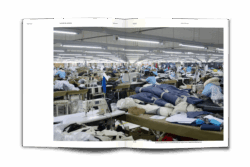 Typologie – La tente de camping – Image 6