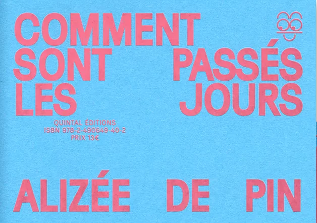 Comment sont passés les jours - Alizée De Pin