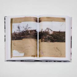 Red Horse - Sasha Kurmaz – Image 3