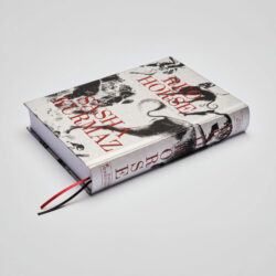 Red Horse - Sasha Kurmaz – Image 7