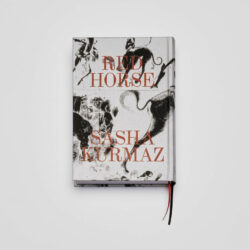 Red Horse - Sasha Kurmaz – Image 2