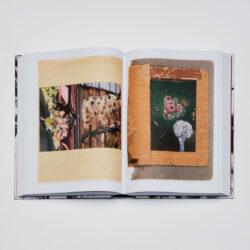 Red Horse - Sasha Kurmaz – Image 4