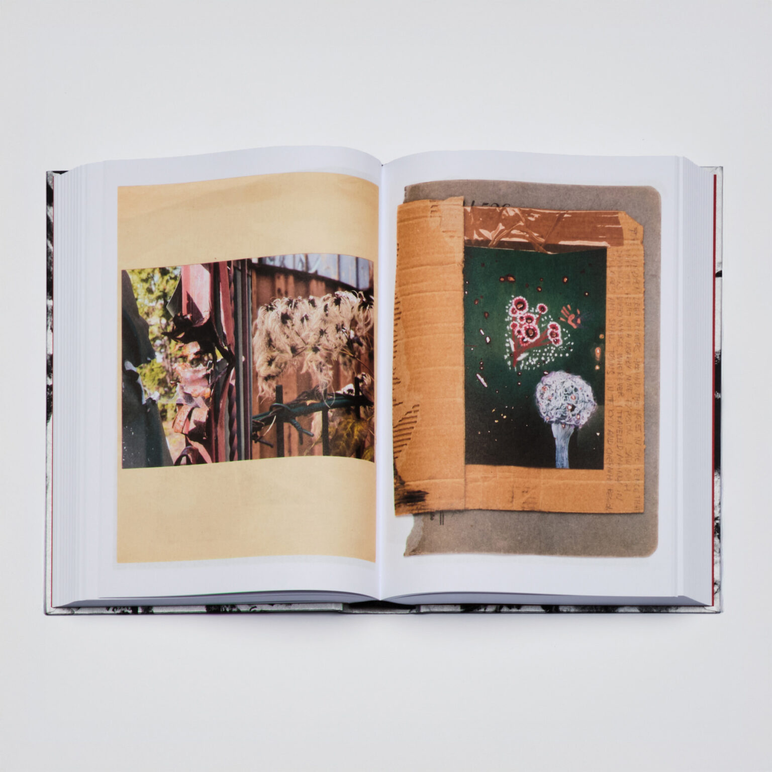 Red Horse - Sasha Kurmaz – Image 4