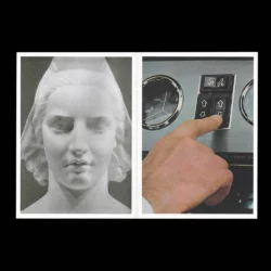 Augure - Rodrigue de Ferluc – Image 3