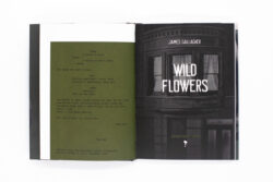Wild Flowers - James Gallagher – Image 6