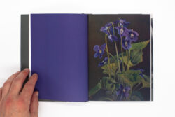 Wild Flowers - James Gallagher – Image 7