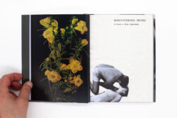 Wild Flowers - James Gallagher – Image 8