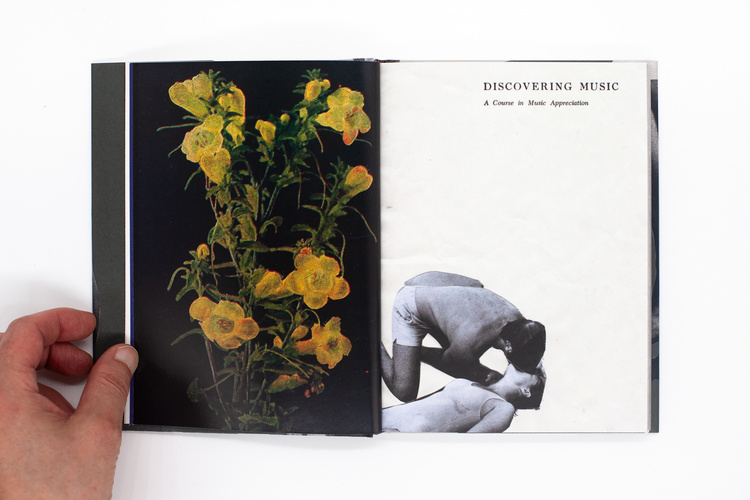 Wild Flowers - James Gallagher – Image 8