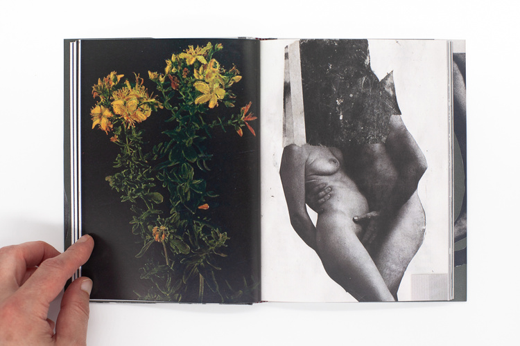 Wild Flowers - James Gallagher – Image 17