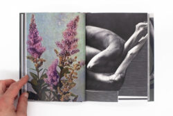 Wild Flowers - James Gallagher – Image 20