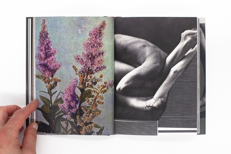 Wild Flowers - James Gallagher – Image 20