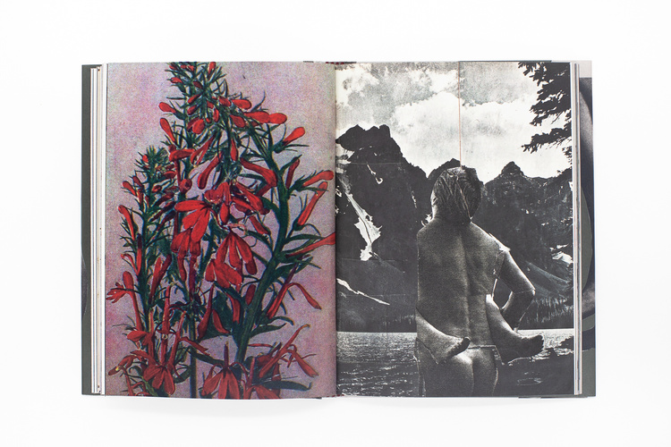 Wild Flowers - James Gallagher – Image 24