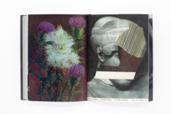 Wild Flowers - James Gallagher – Image 29