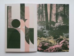 Phasing Consequence - Louis Reith – Image 2