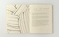 Construire un lac, faire disparaître des cailloux, porter un chapeau - Damien Tran – Image 4