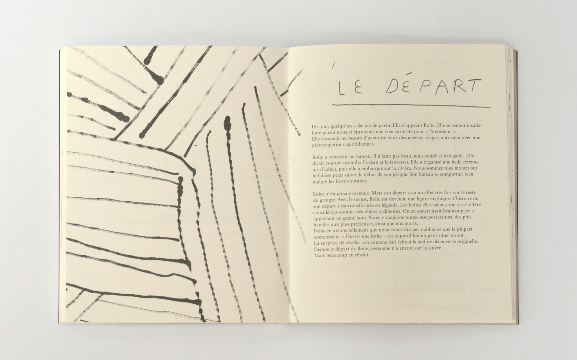 Construire un lac, faire disparaître des cailloux, porter un chapeau - Damien Tran – Image 4