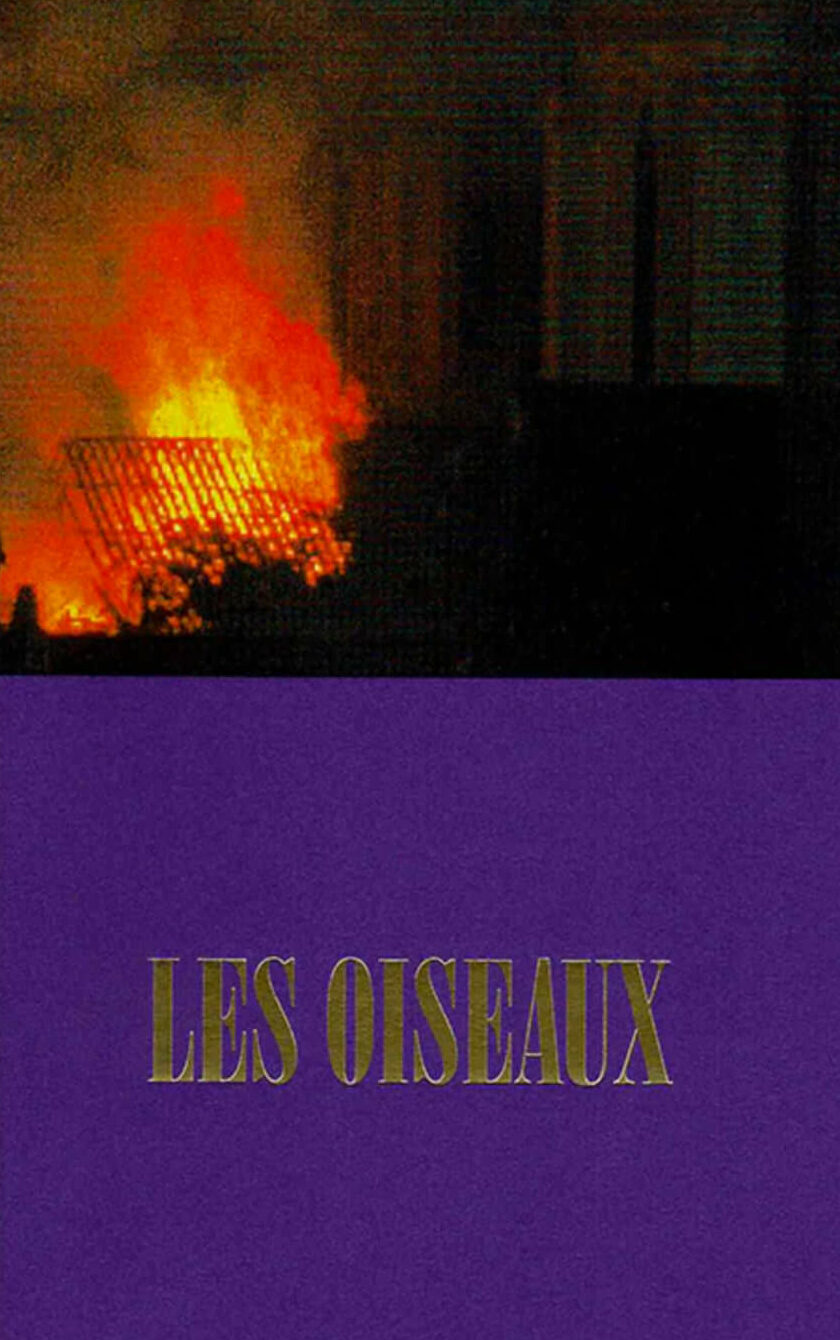 Les oiseaux - Lola Raban, Jean-René Etienne